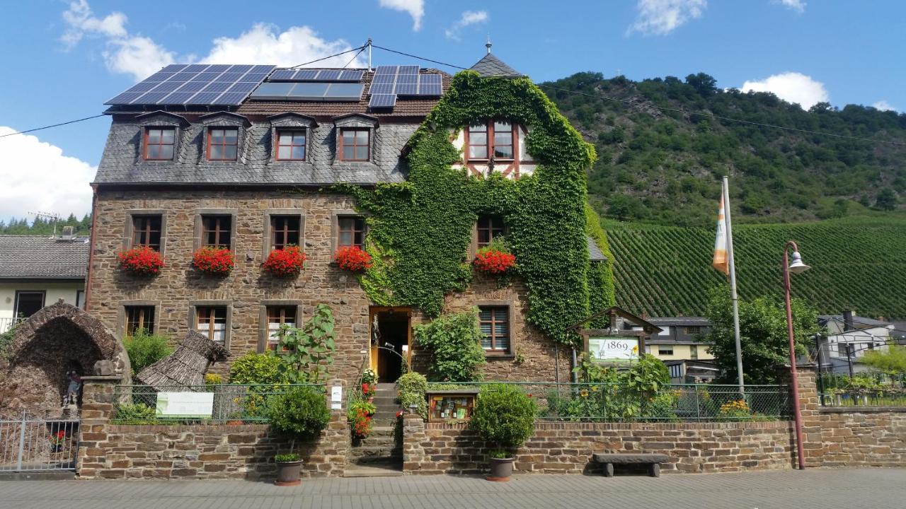 Appartamento Weingut -1869- Brunnenhof Hatzenport Esterno foto